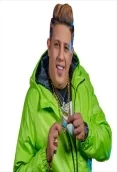 حمو بيكا